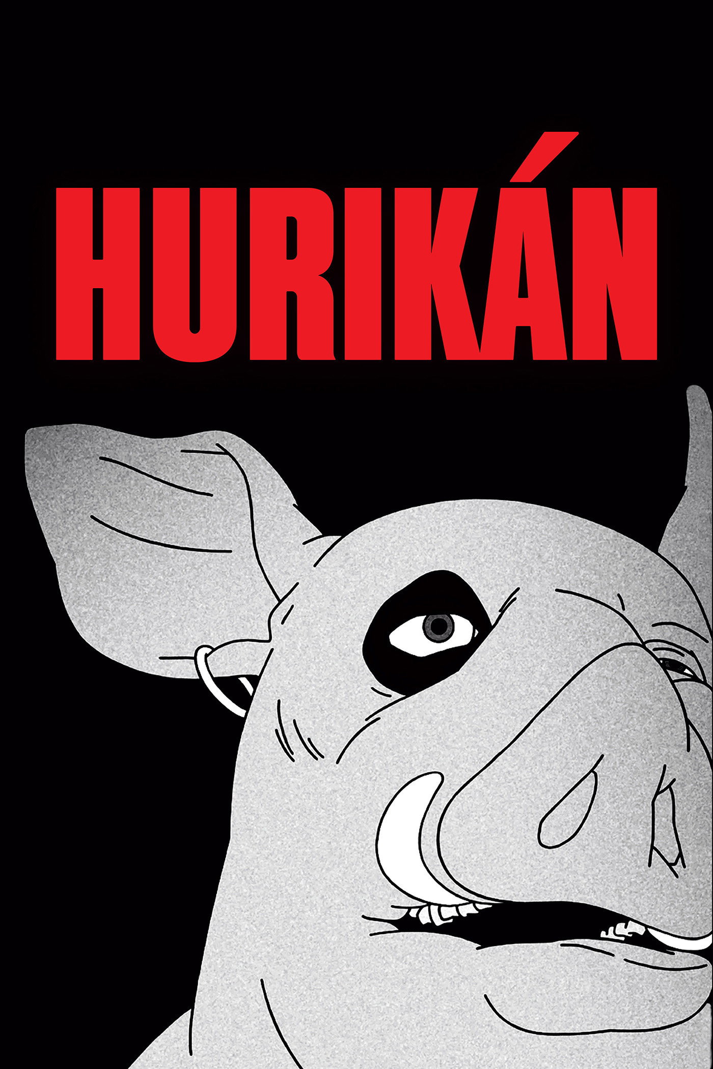 Hurik&aacute;n
