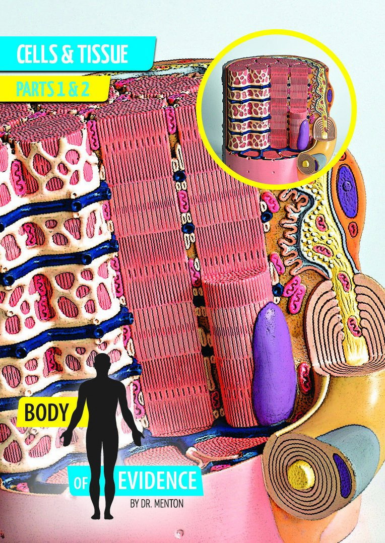 Body of Evidence: Cells and Tissues