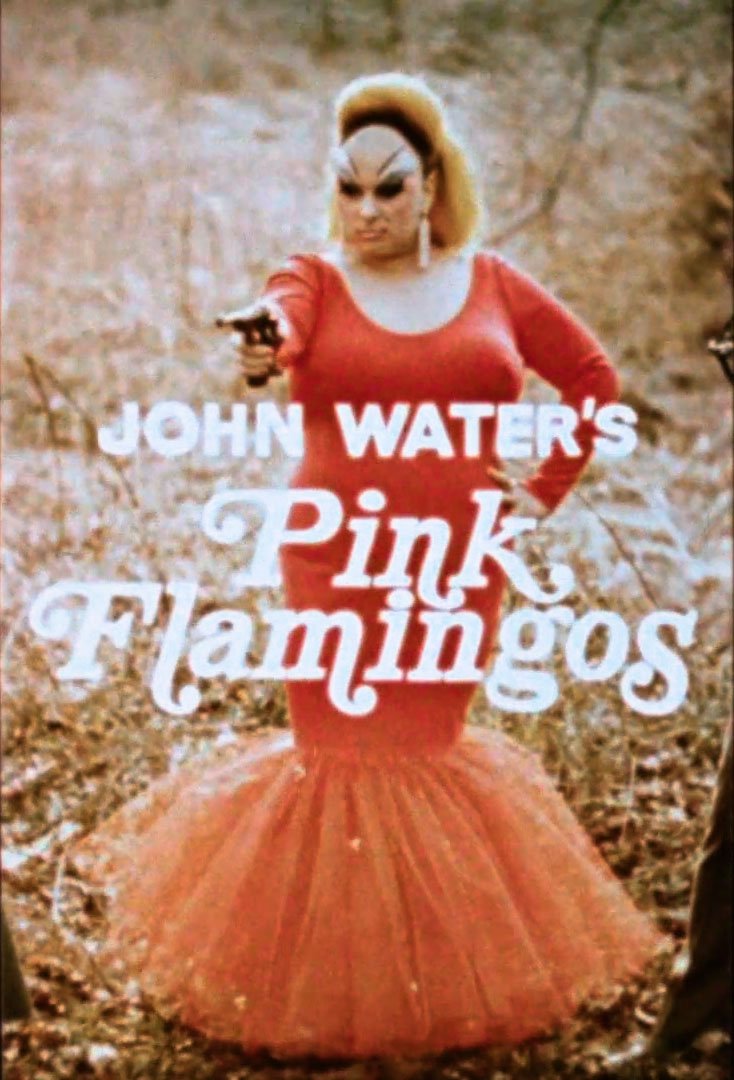 Pink Flamingos