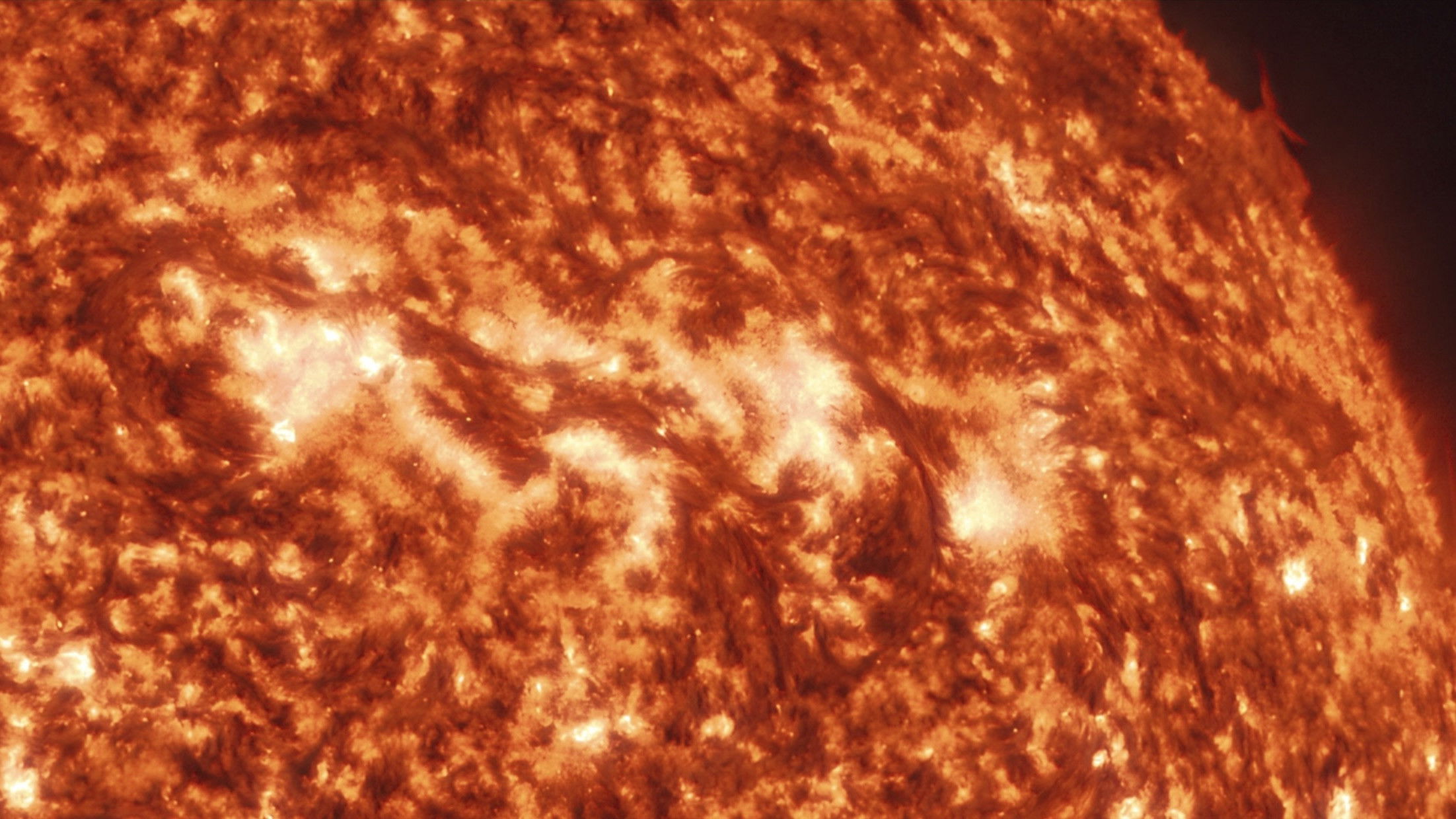 Project Hail Mary backdrop