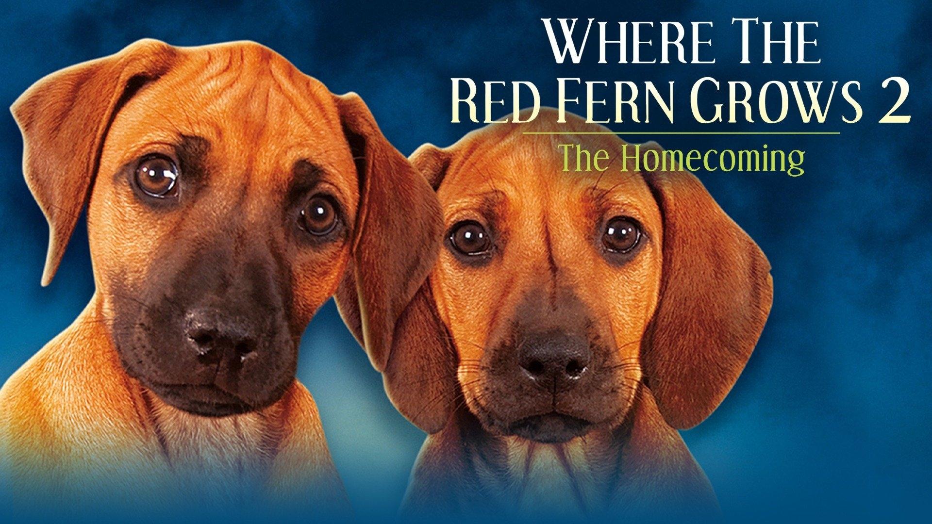 Where The Red Fern Grows Part 2 (1992)