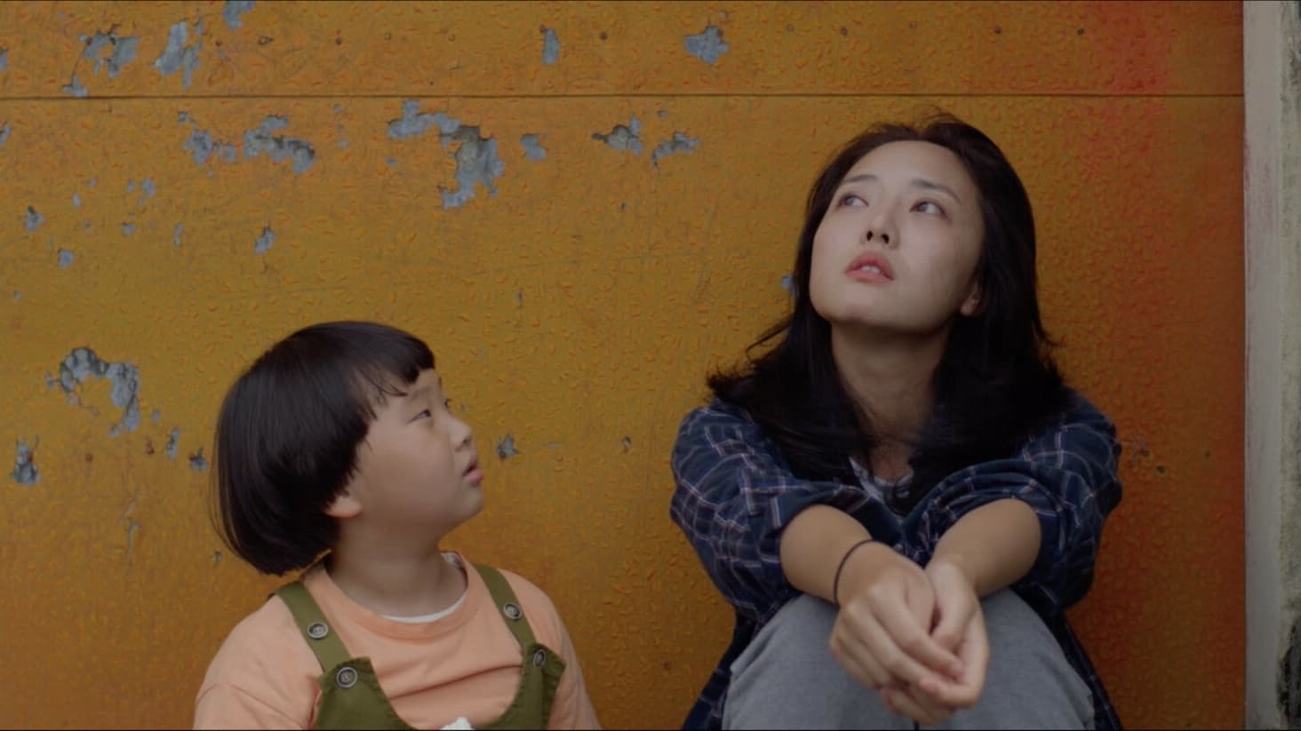 A Ray of Sunlight (2024)