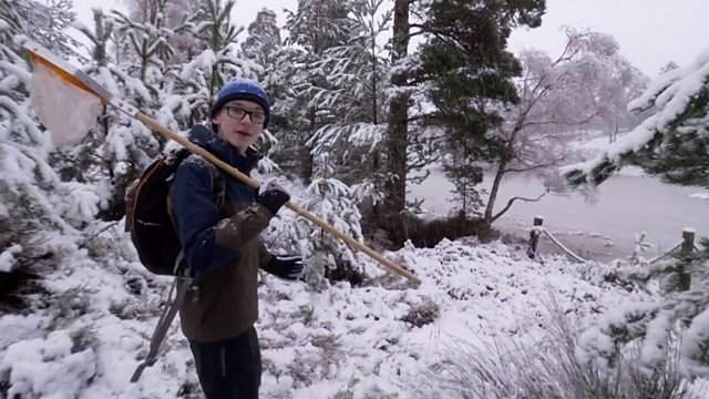 Countryfile 35x2
