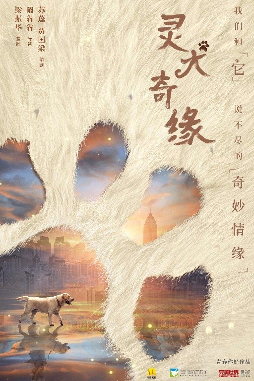 灵犬奇缘 灵犬奇缘