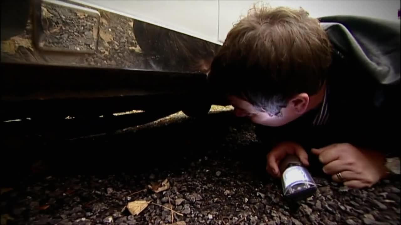 Wheeler Dealers