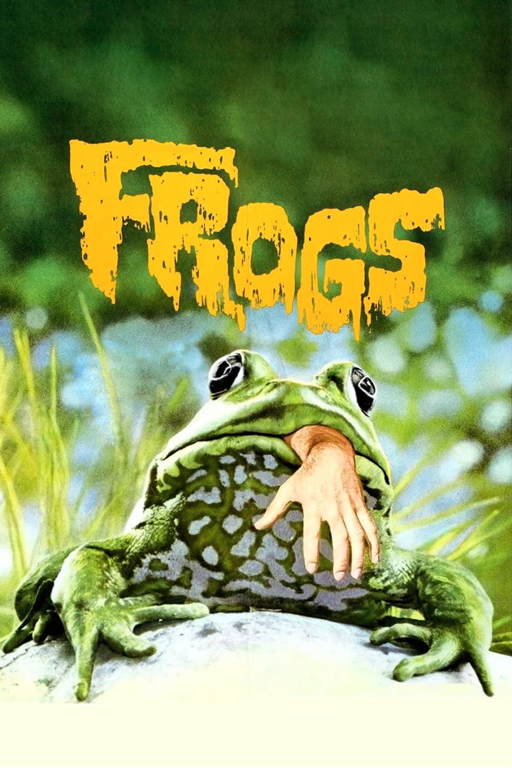 Frogs streaming