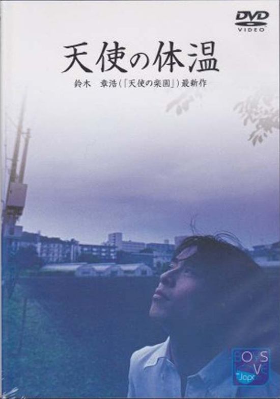 天使の体温 天使の体温