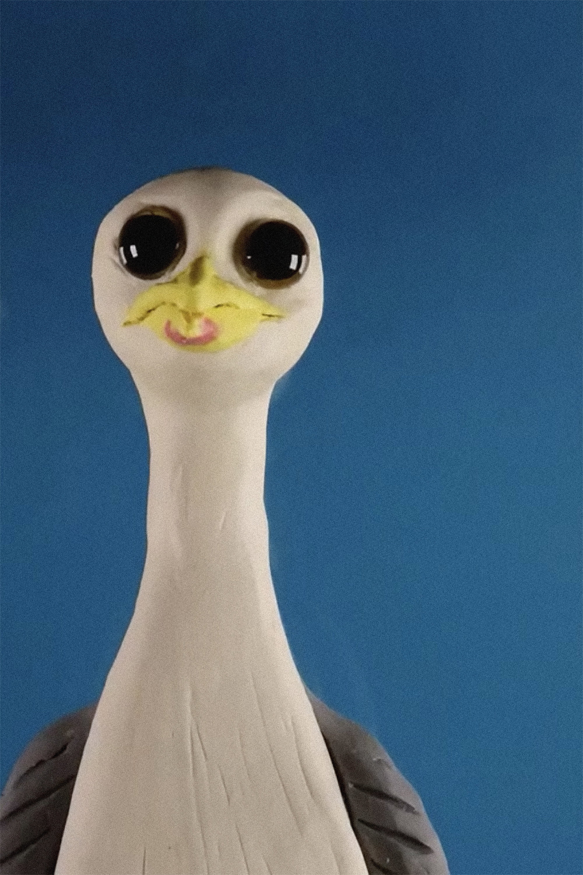 Gullermo