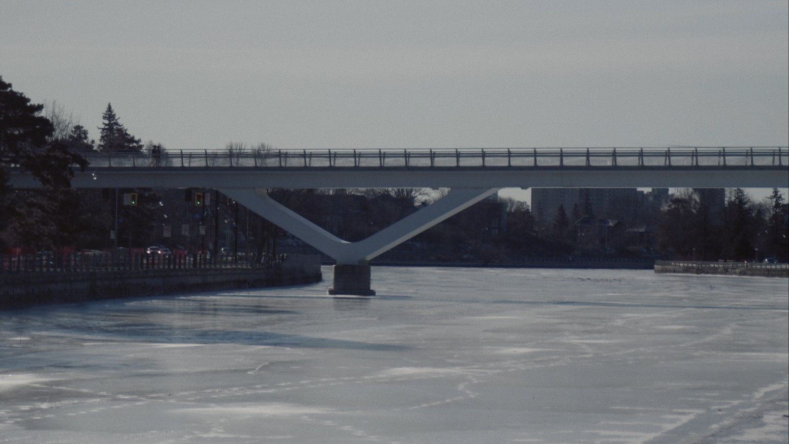 Absence of Mind (2024)