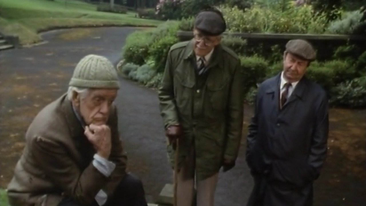 Last of the Summer Wine