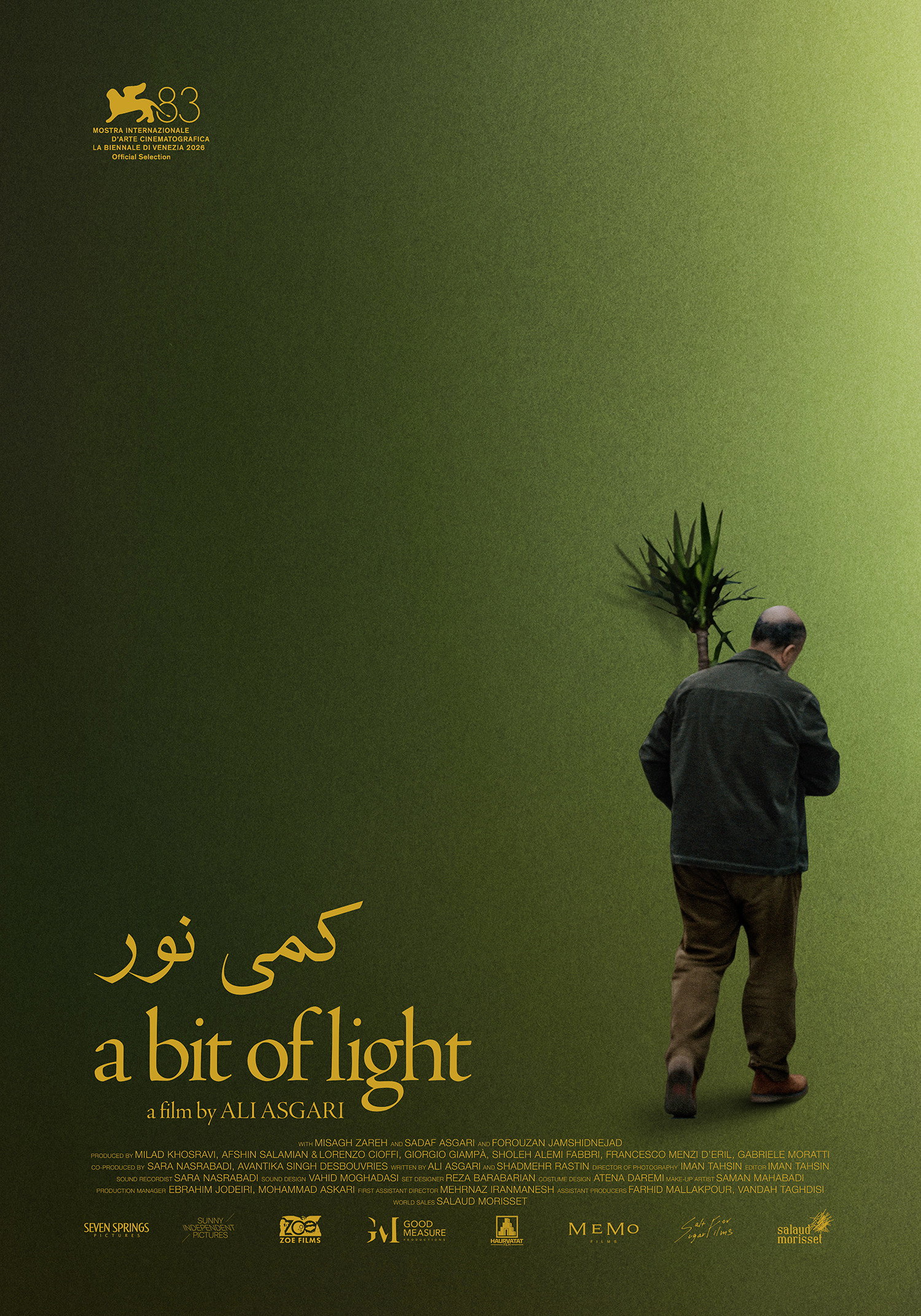 کمی نور