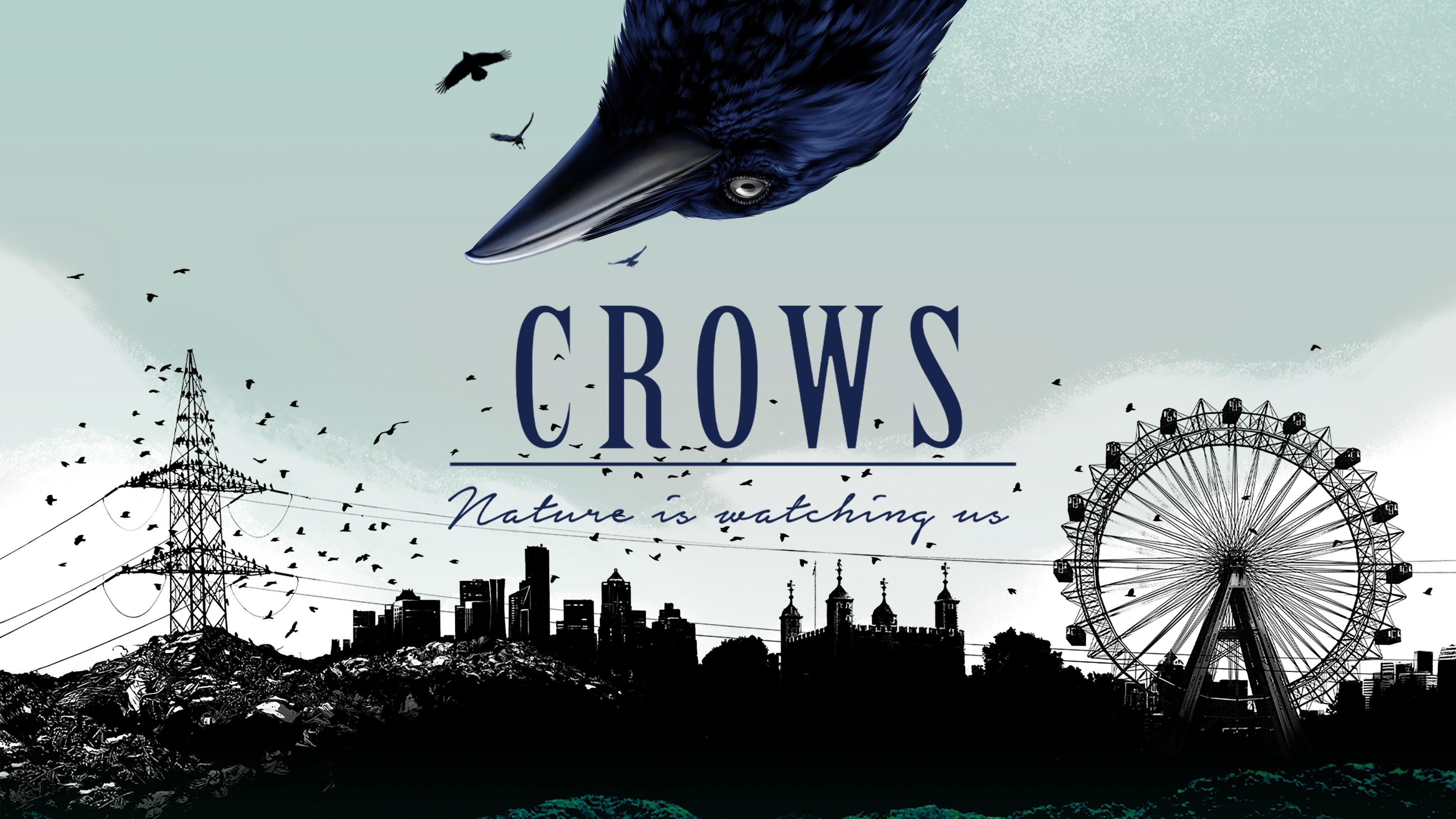 Crows - Nature Is Watching Us