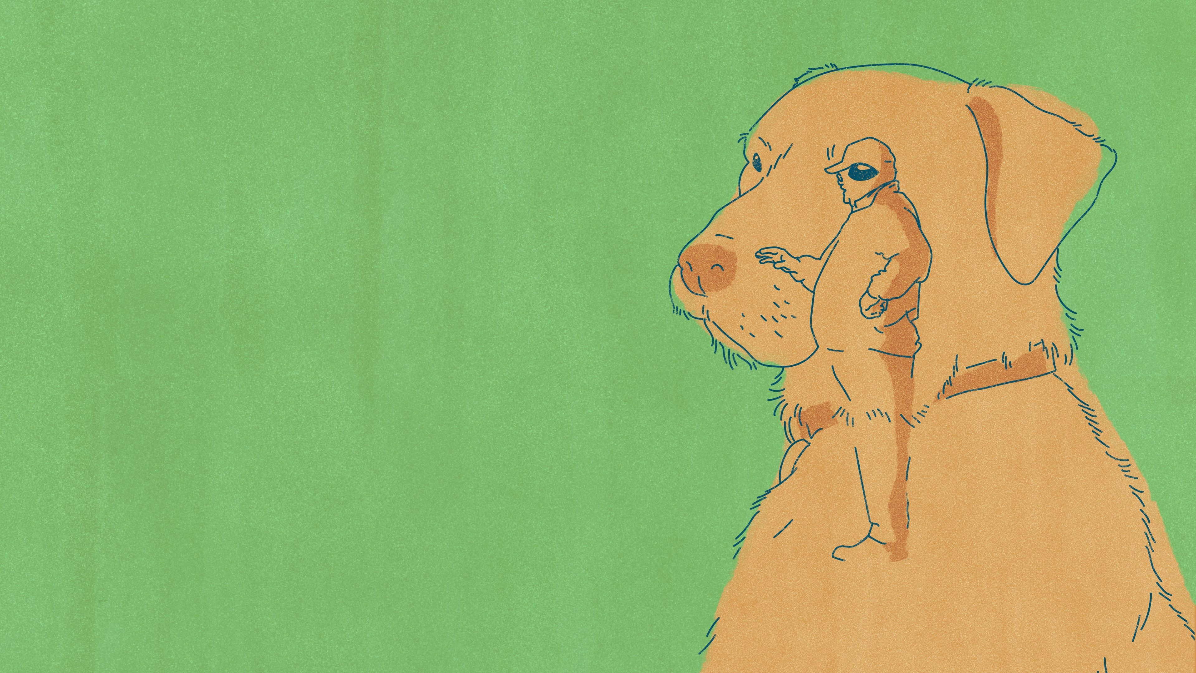 Old Dog (2017)