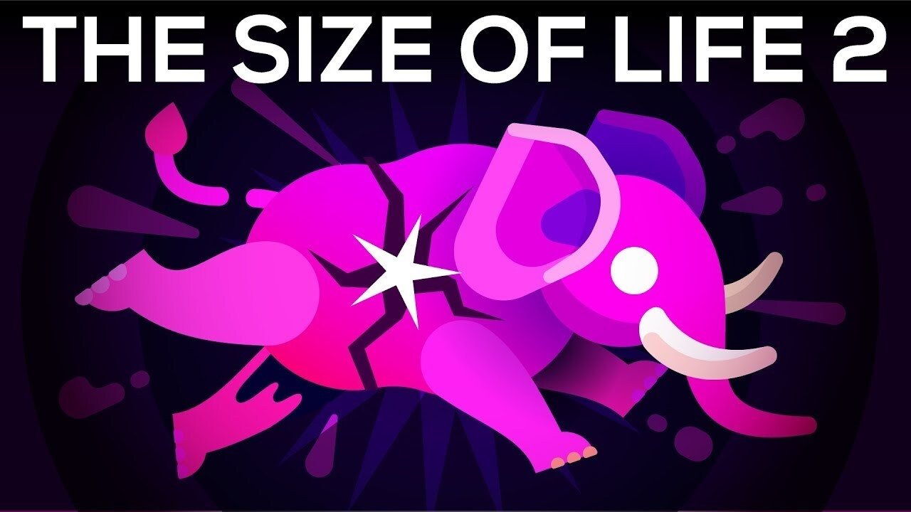 Kurzgesagt - In a Nutshell
