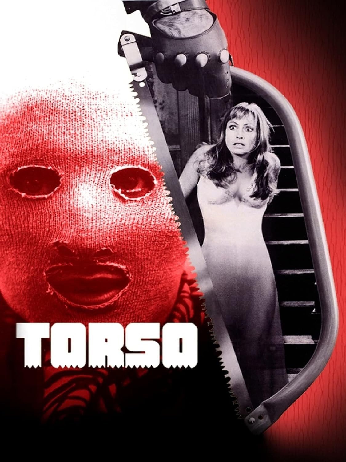 Torso