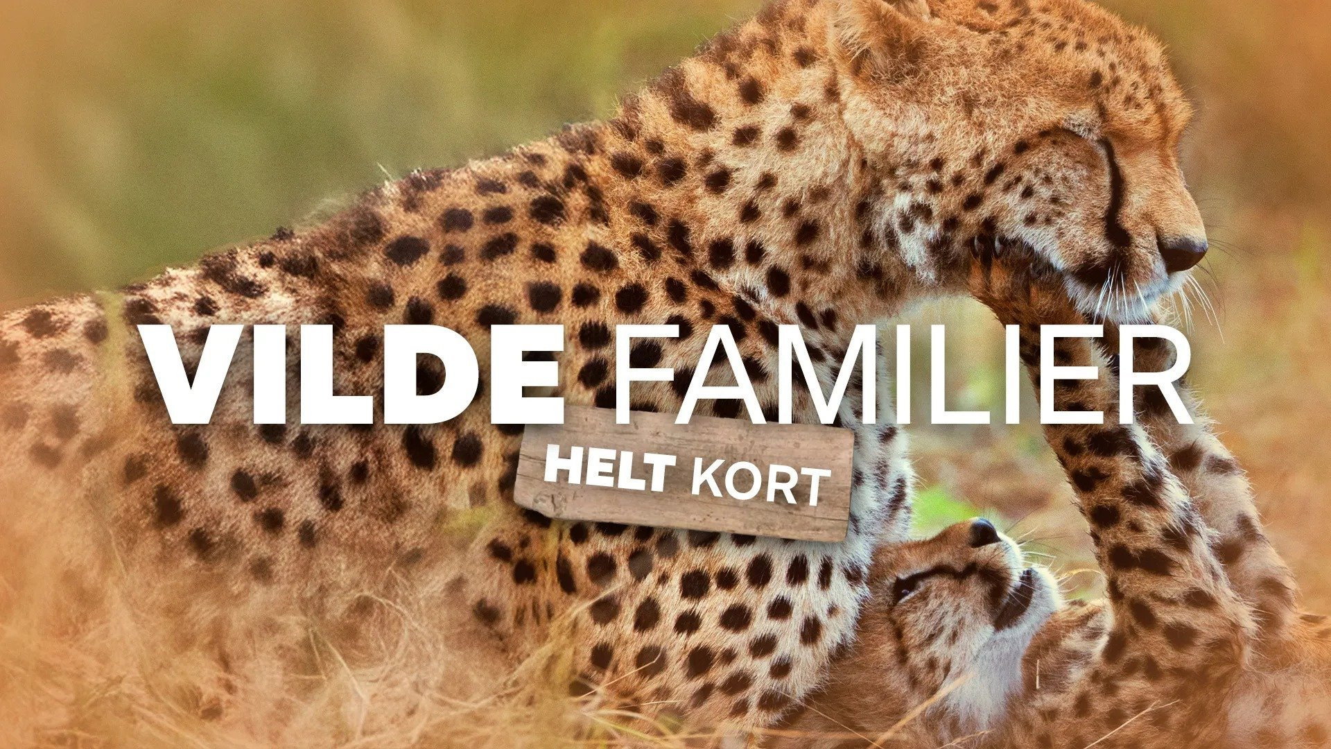 Vilde familier - helt kort banner dorama coreano Netflix