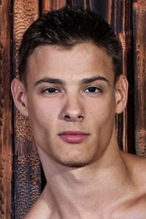 et billede af Andrei Karenin