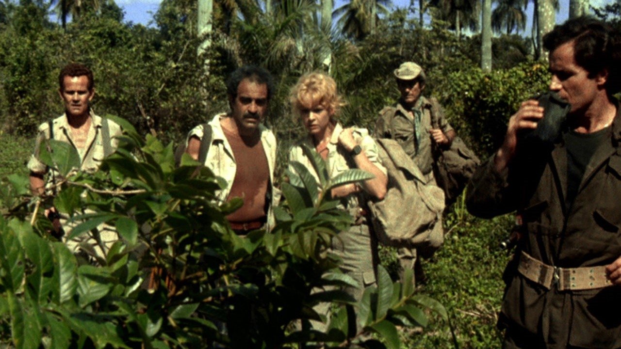 Wild Team (1985)