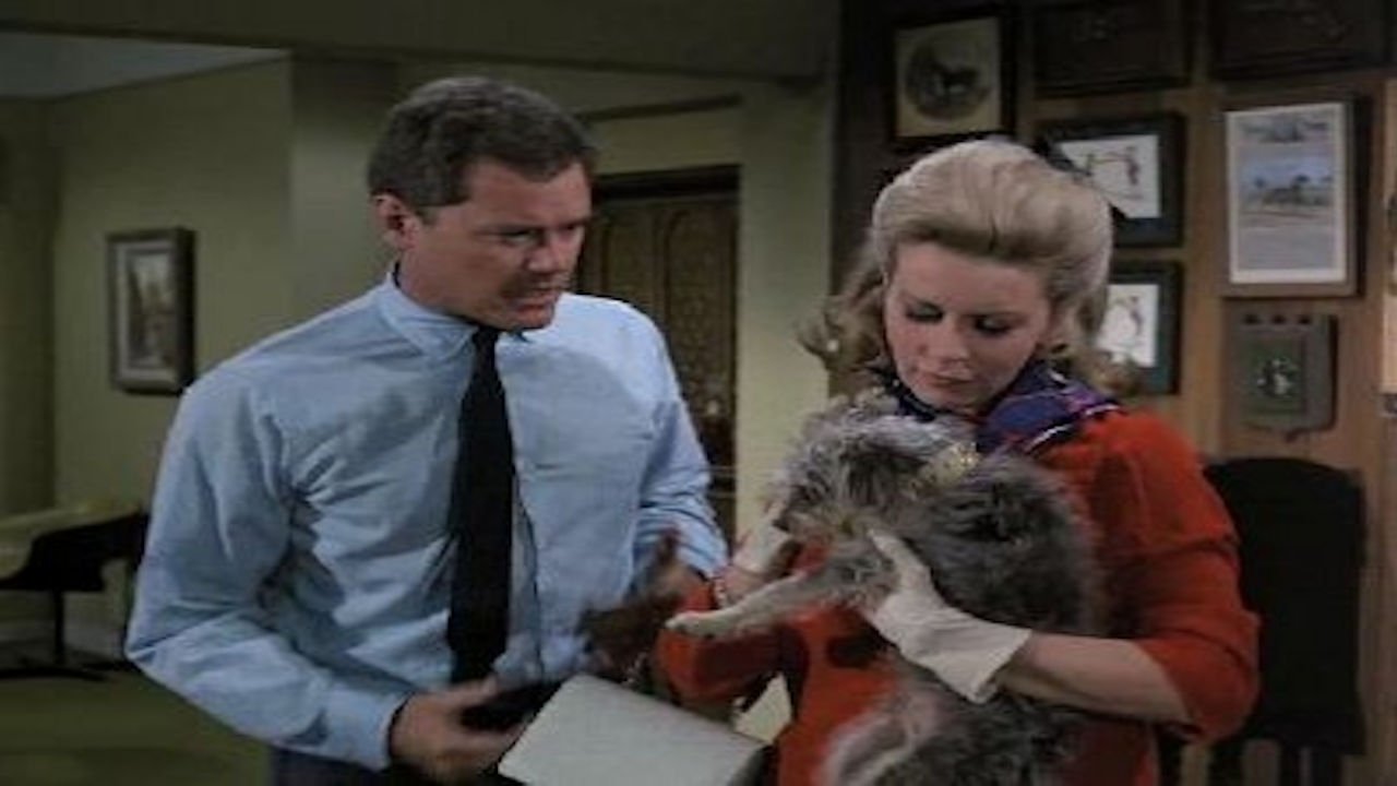 I Dream of Jeannie