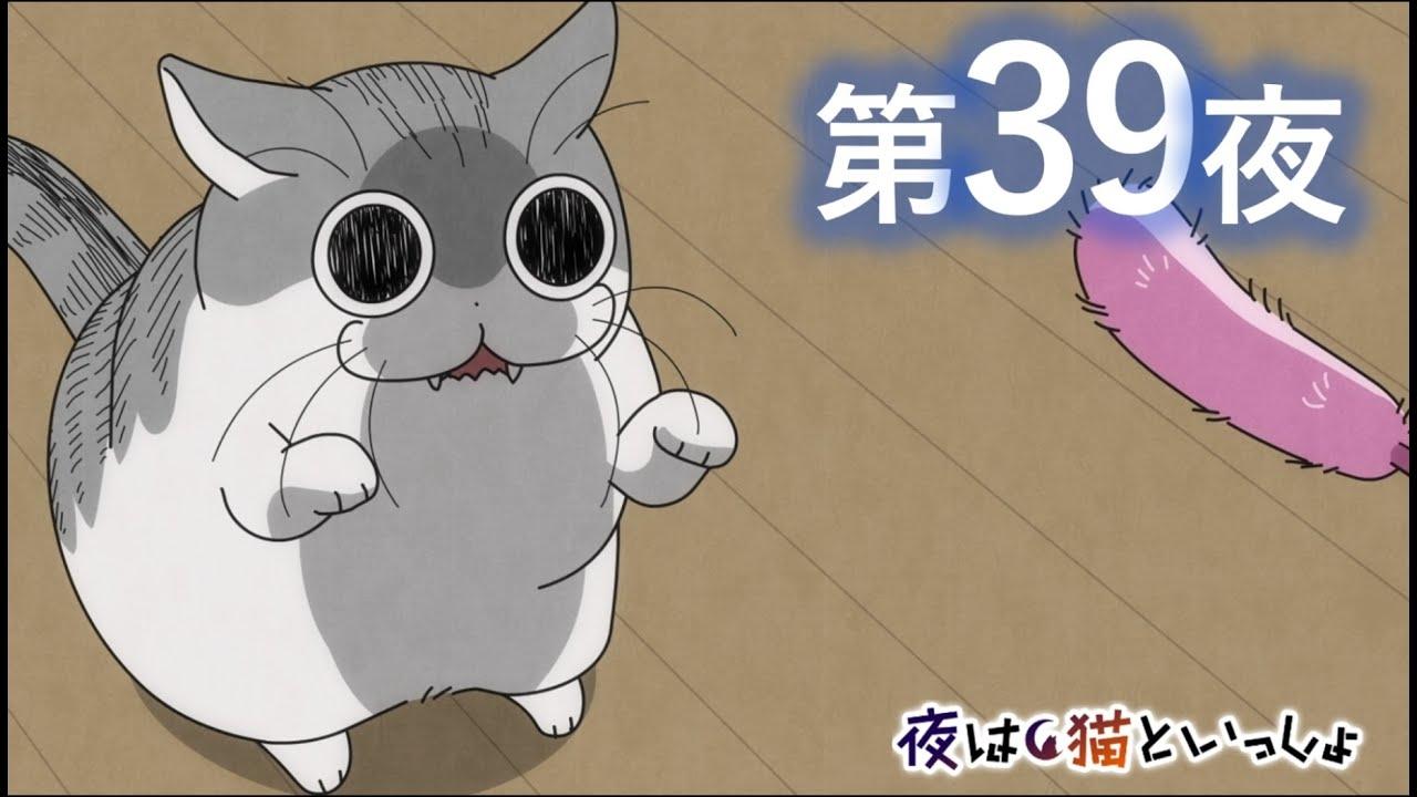 Episode 39
