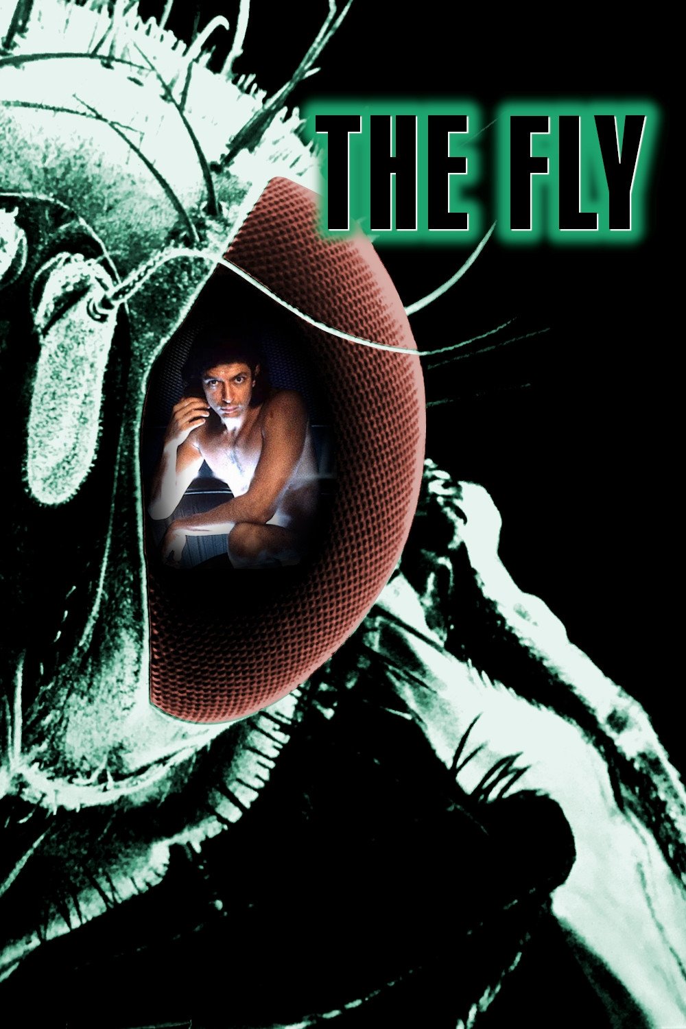 The Fly