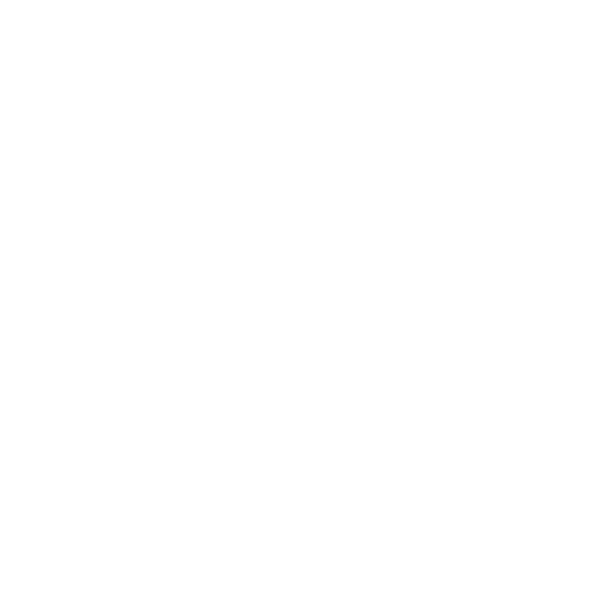 Toon City Logo