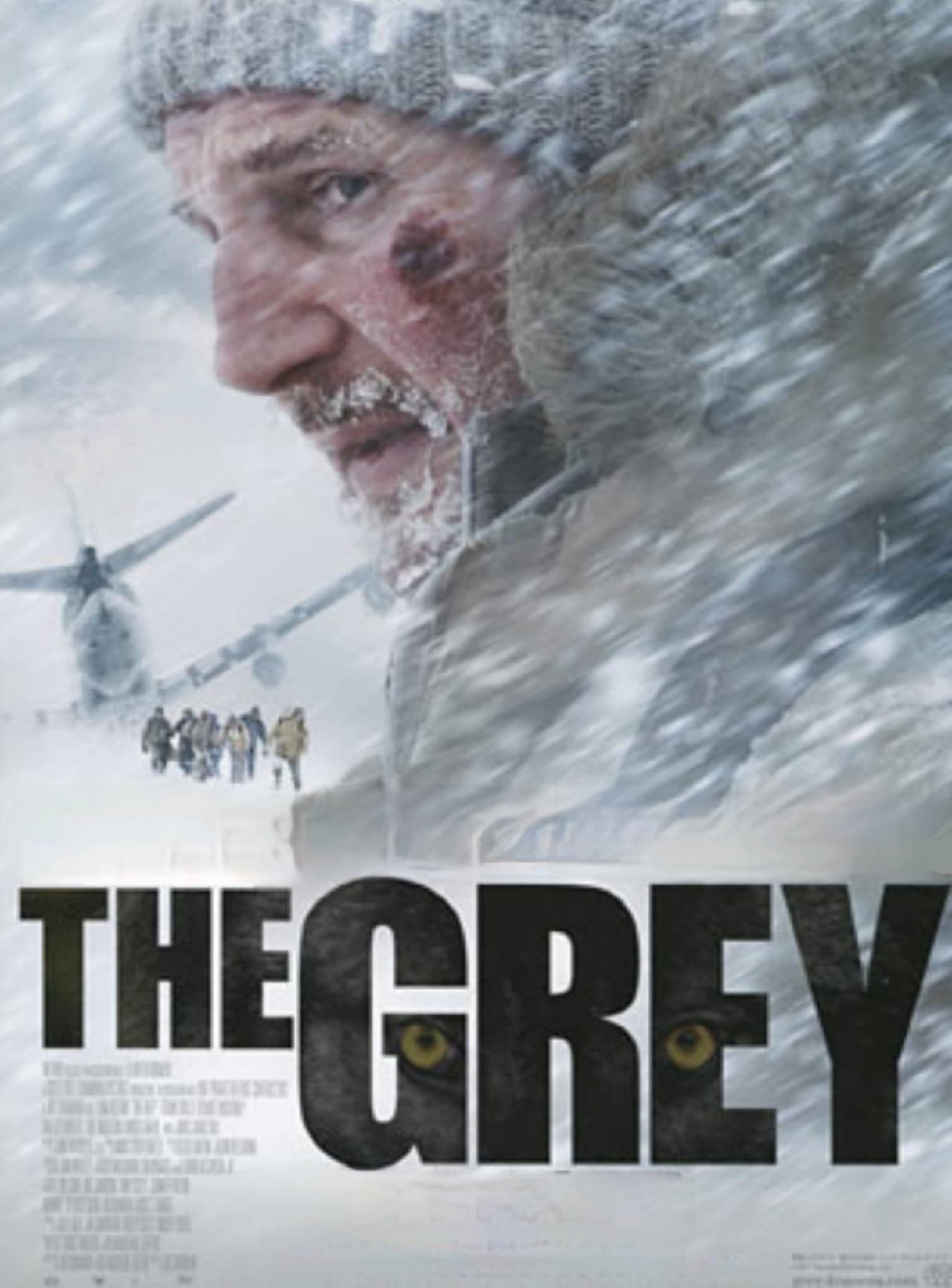 The Grey