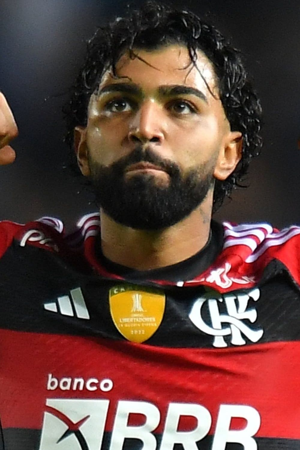 Gabriel Barbosa | Self