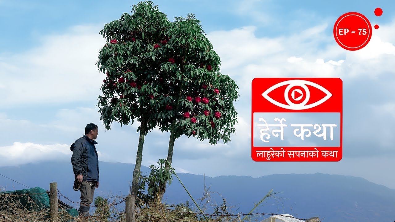 Thumbnail for Lahureko Sapanako Katha Season 1 Episode 75
