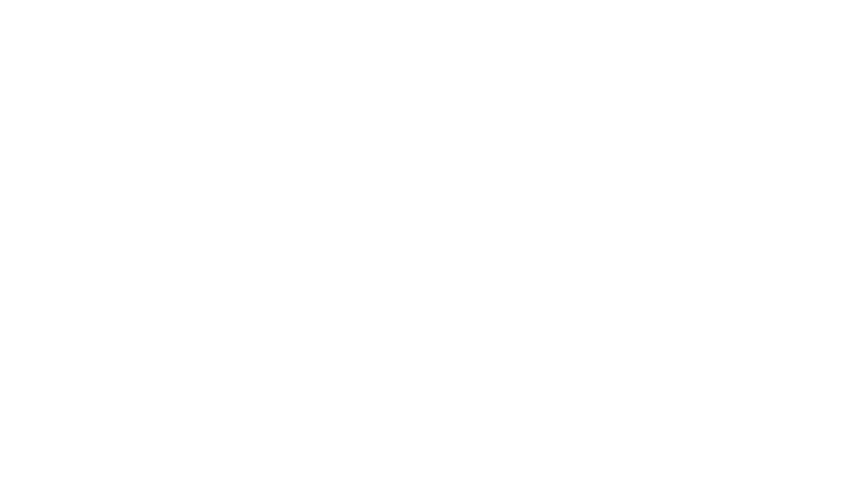 V zemi
