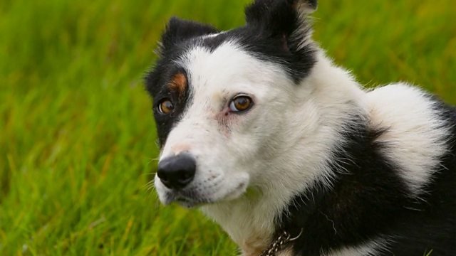 Countryfile 35x10
