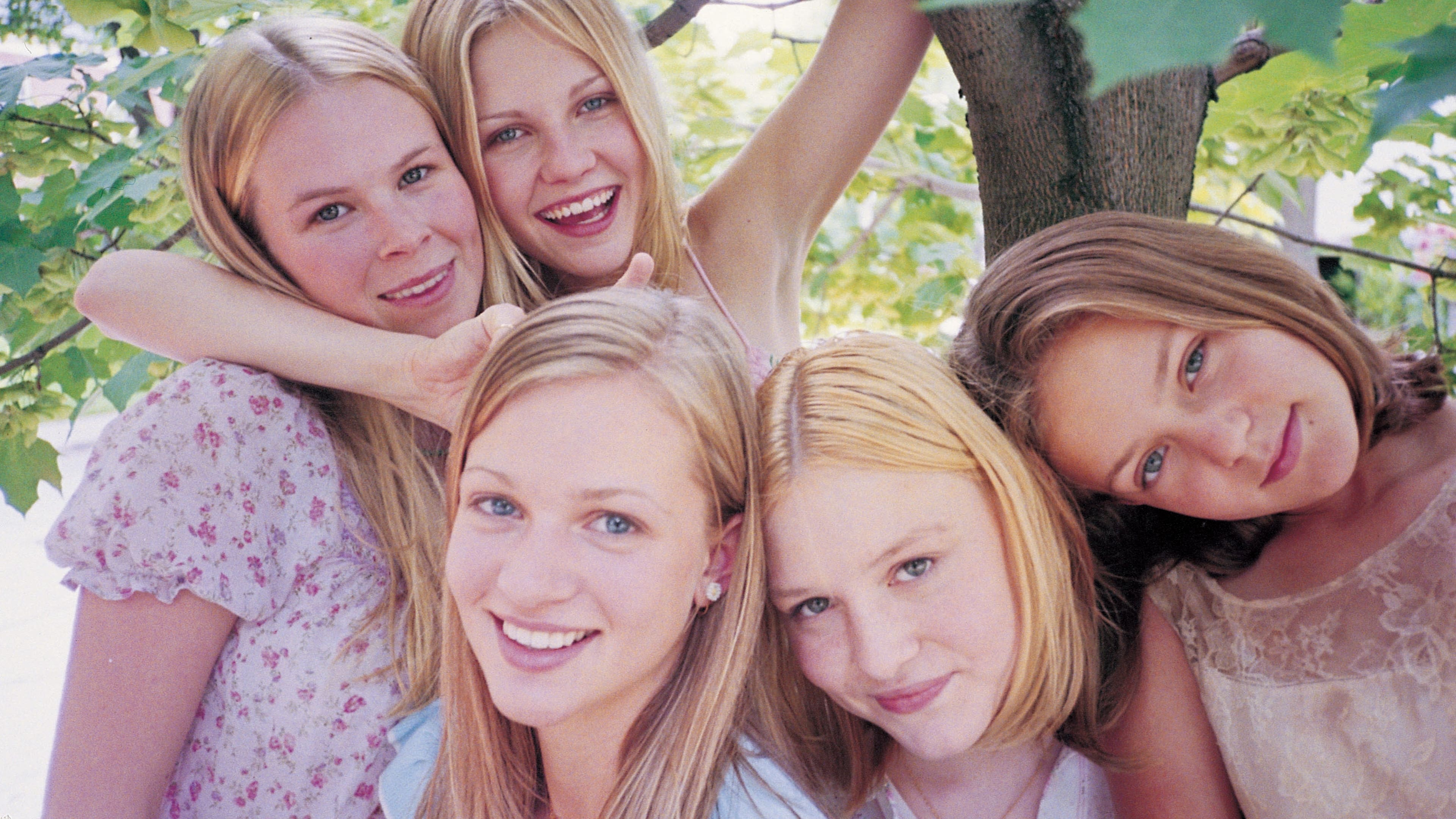 Image du film Virgin Suicides dnikdaaypweuyny6j3qwoagqmk2jpg