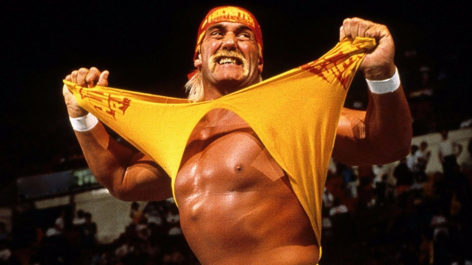 WWE: Hulk Hogan: The Ultimate Anthology