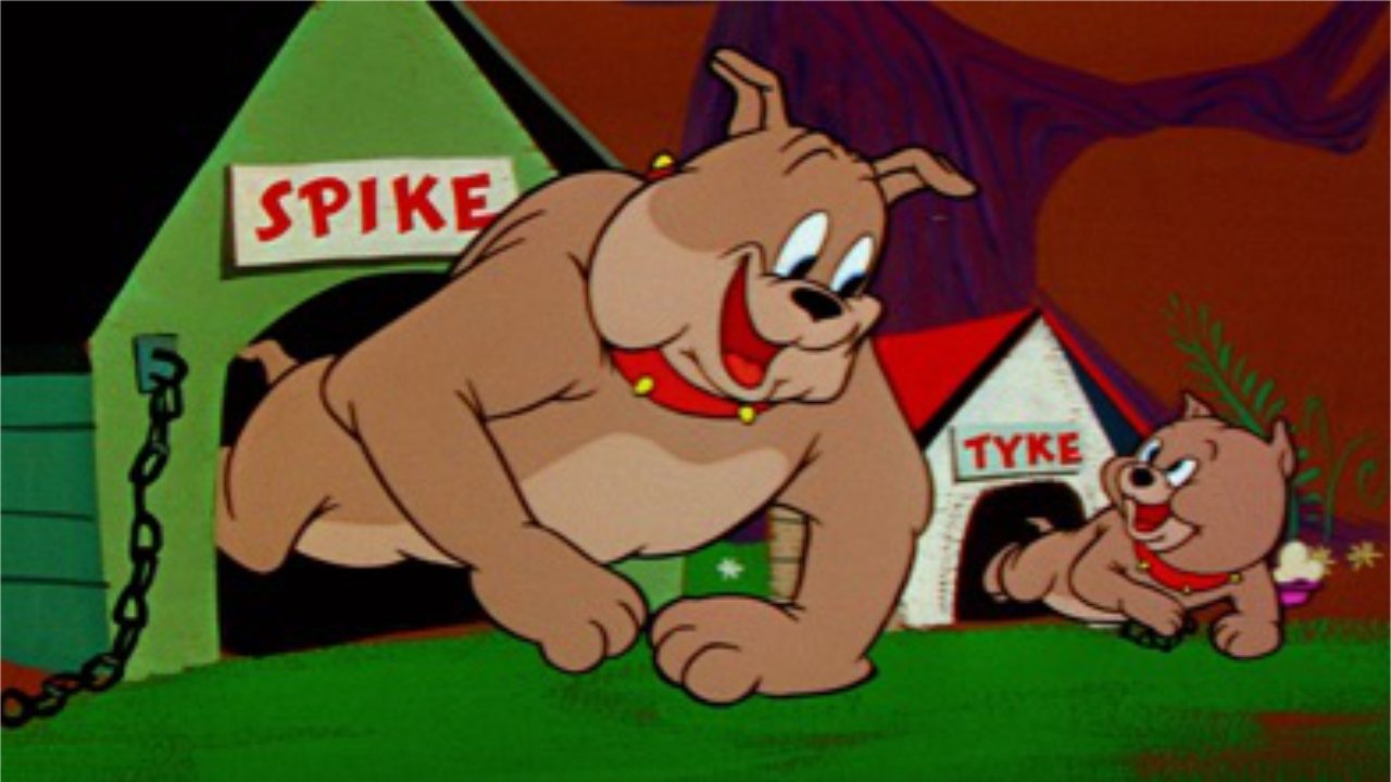 The Tom and Jerry Show