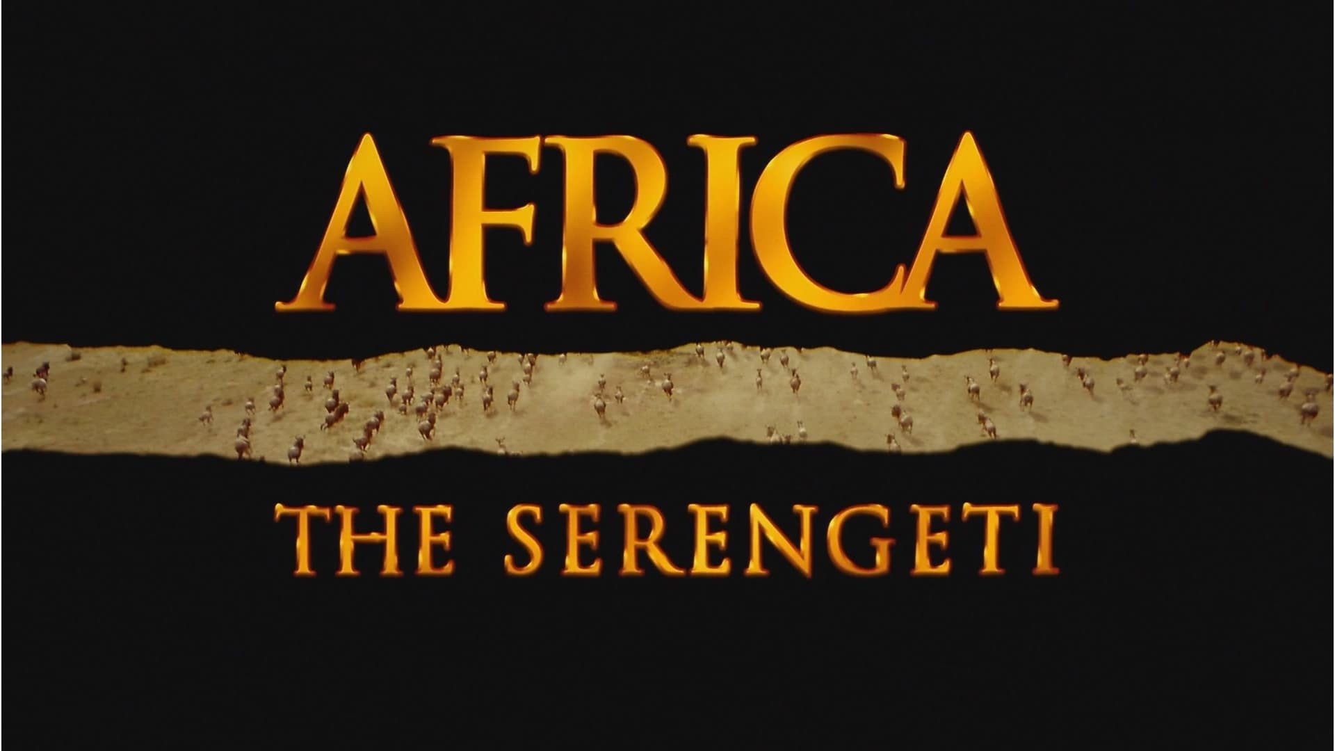 Africa: The Serengeti