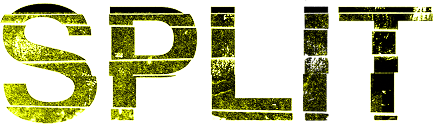 Split Logo
