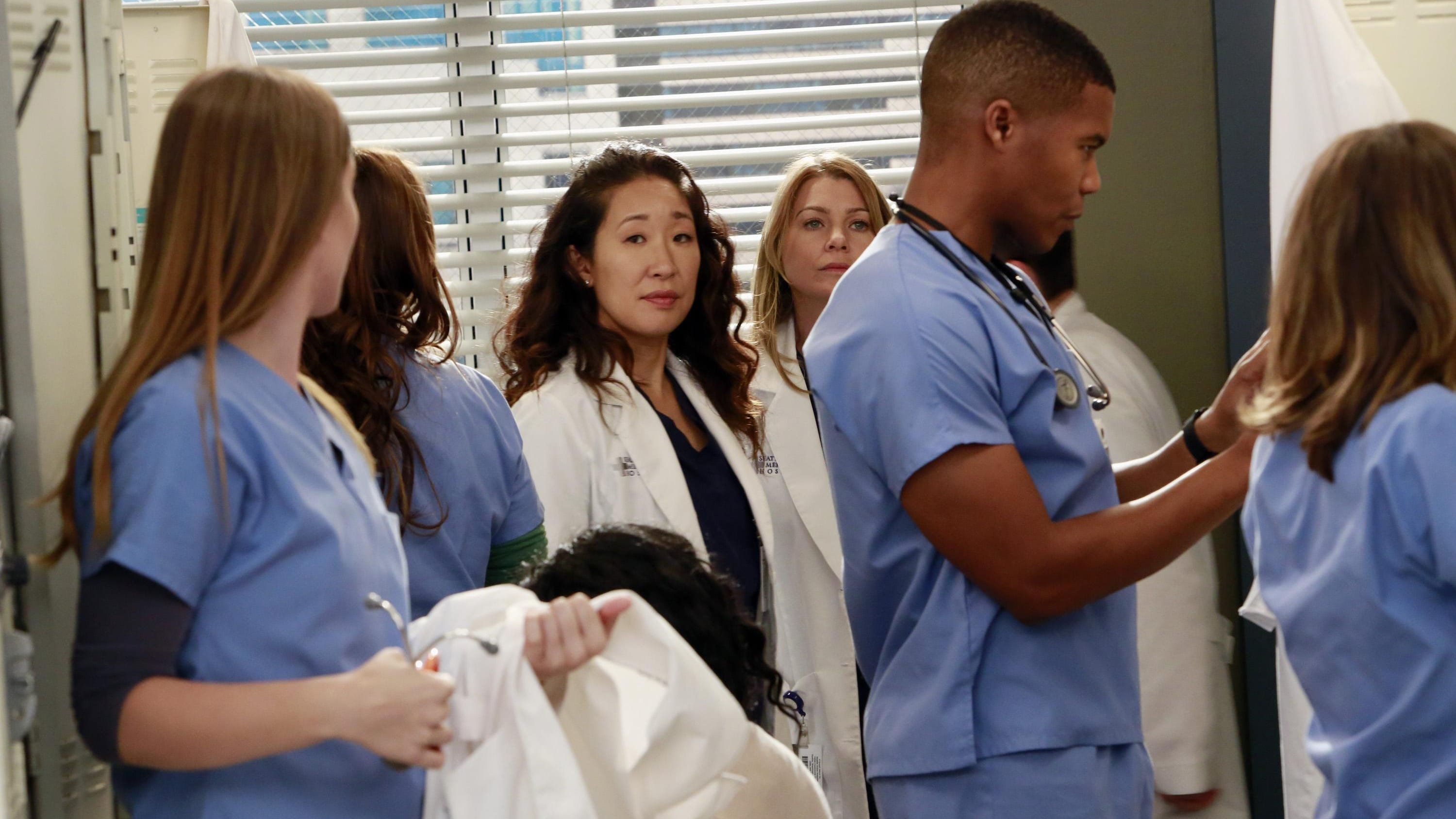 Grey's Anatomy: Season 9 Episode 8 S09E08 Openload Watch Free Episodes Online