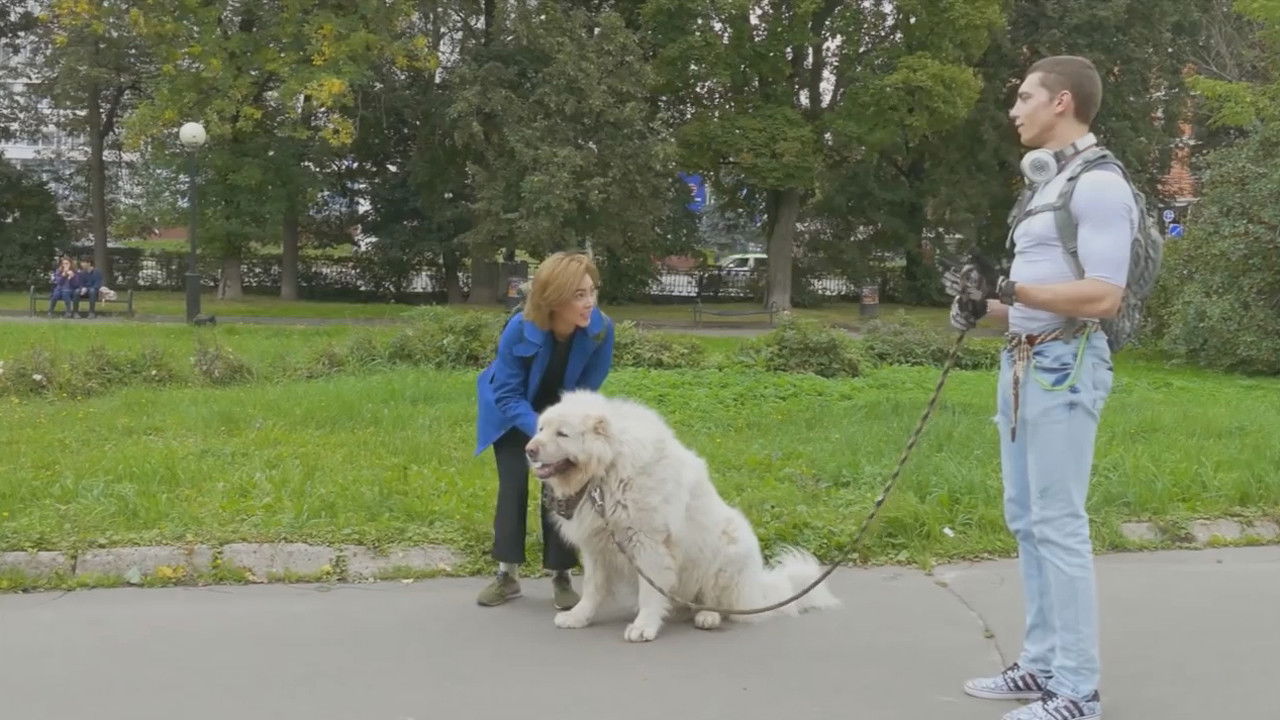 Thumbnail for JJR17 มหาวิทยาลัยชีวิต จากป่าสู่เมือง Season 1 Episode 17