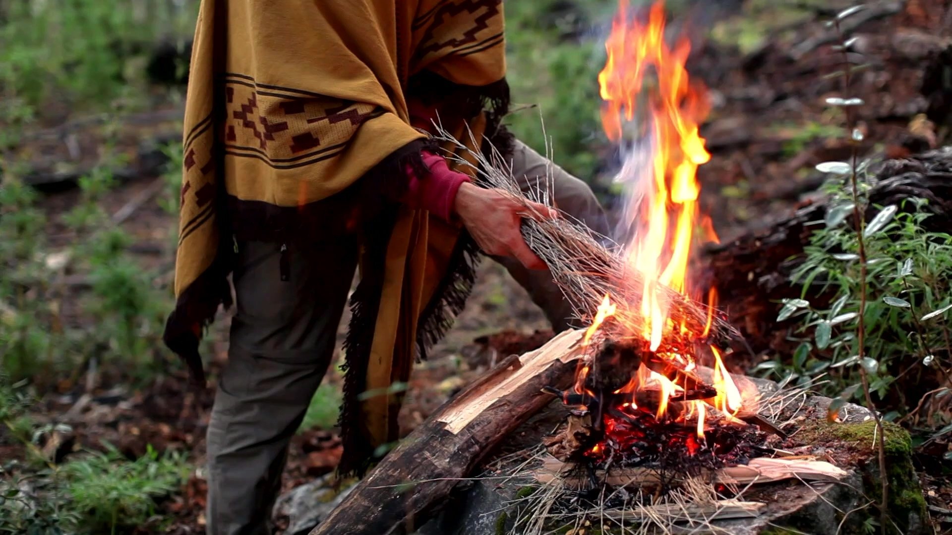 Thumbnail for Down the Mountain Season 1 Episode 5