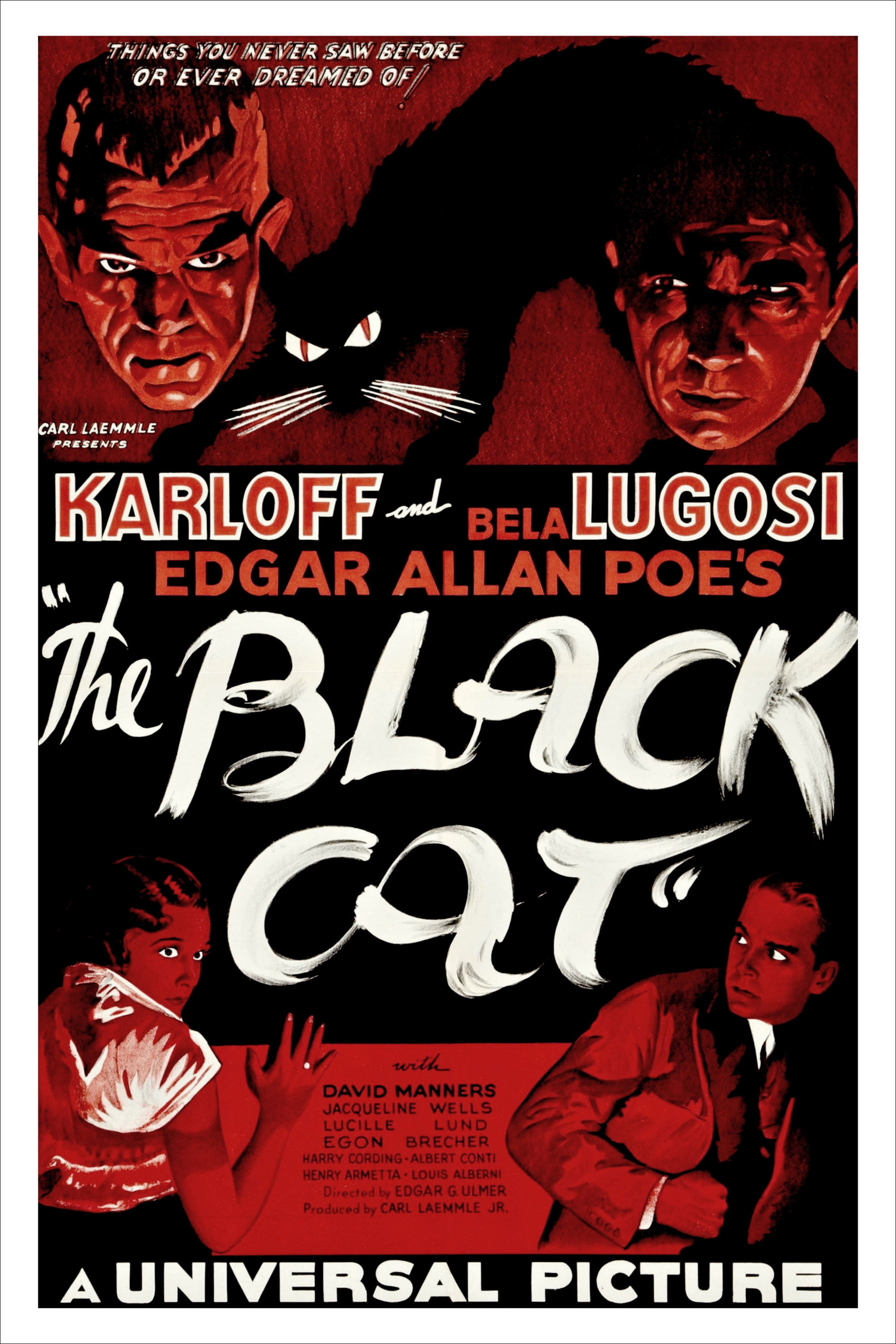 The Black Cat