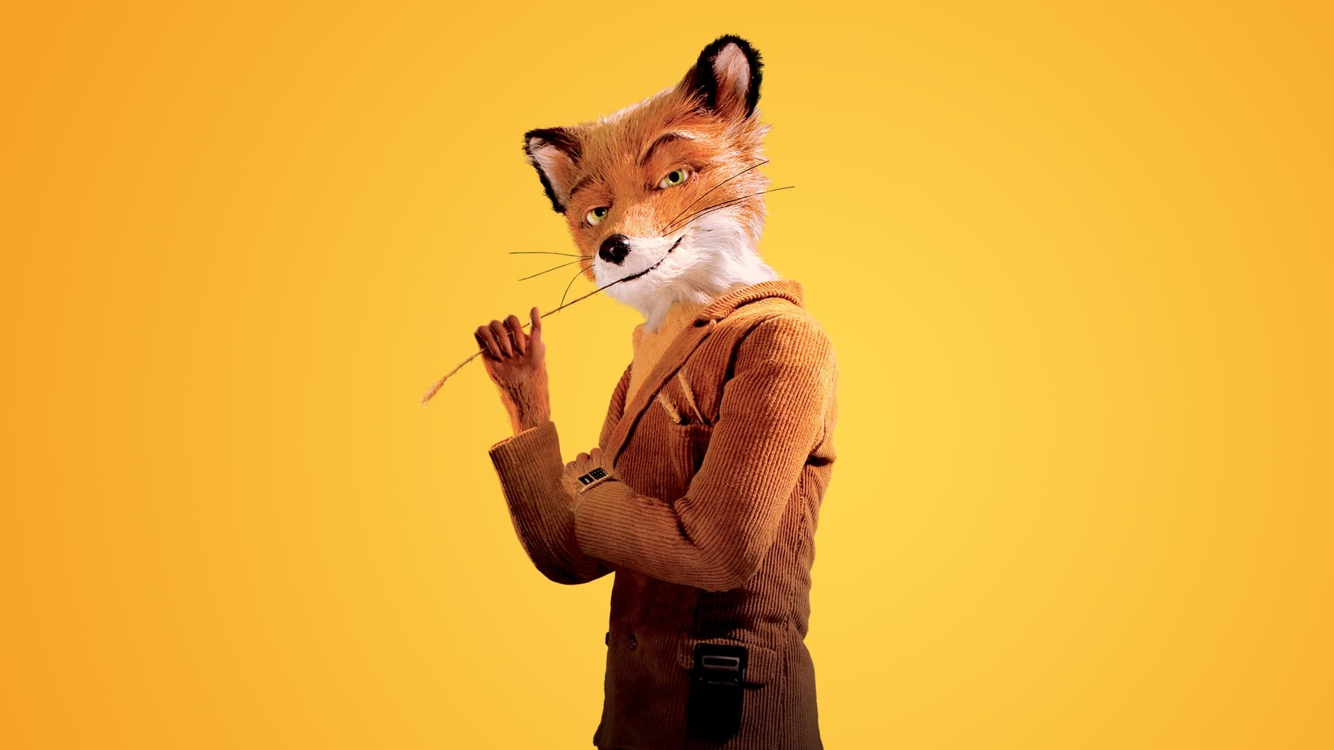 Fantastic Mr. Fox (2009)