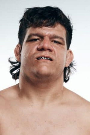 et billede af Dominic Garrini