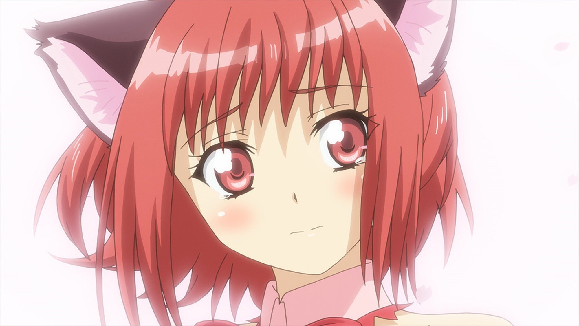 Tokyo Mew Mew New~♡ - Un adieu sous une tempête de pétales