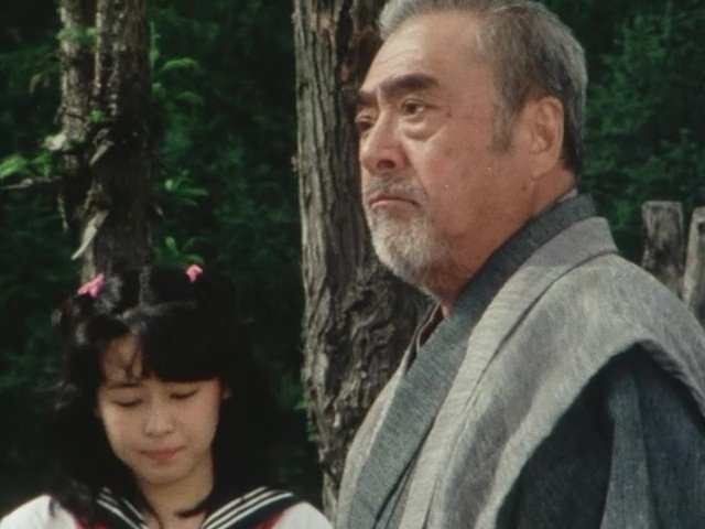Dai Sentai Goggle-V