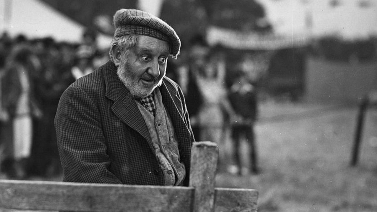 Owd Bob (1938)