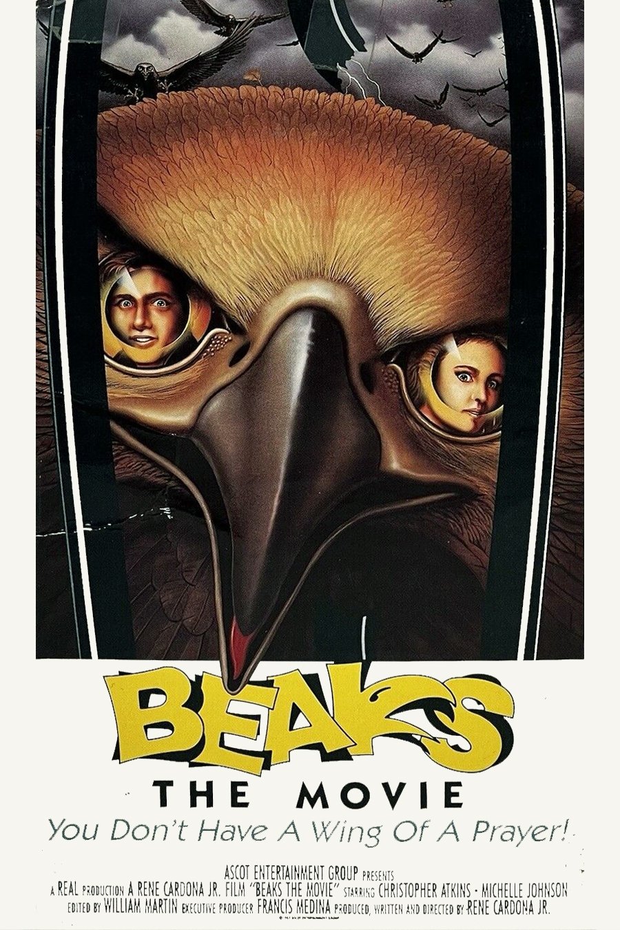 Birds of Prey