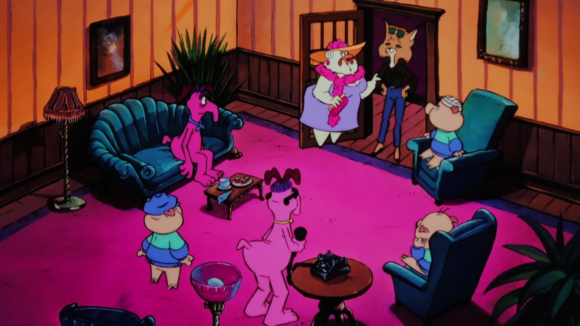 The Raccoons