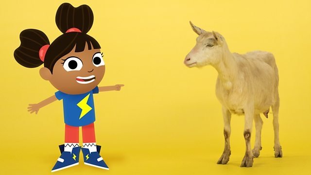 Yakka Dee!
