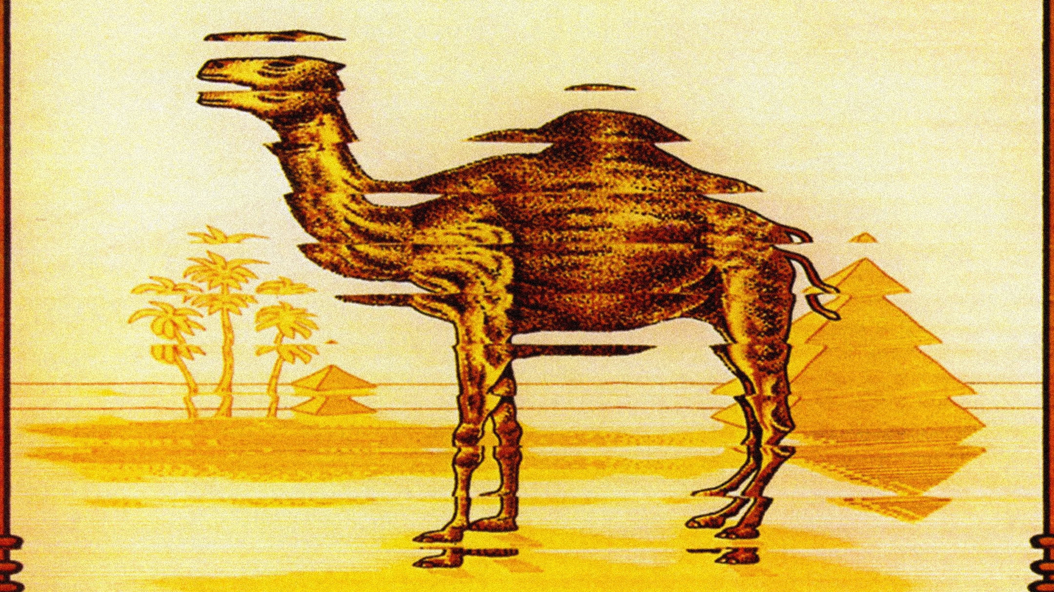 Camel: Mirage backdrop