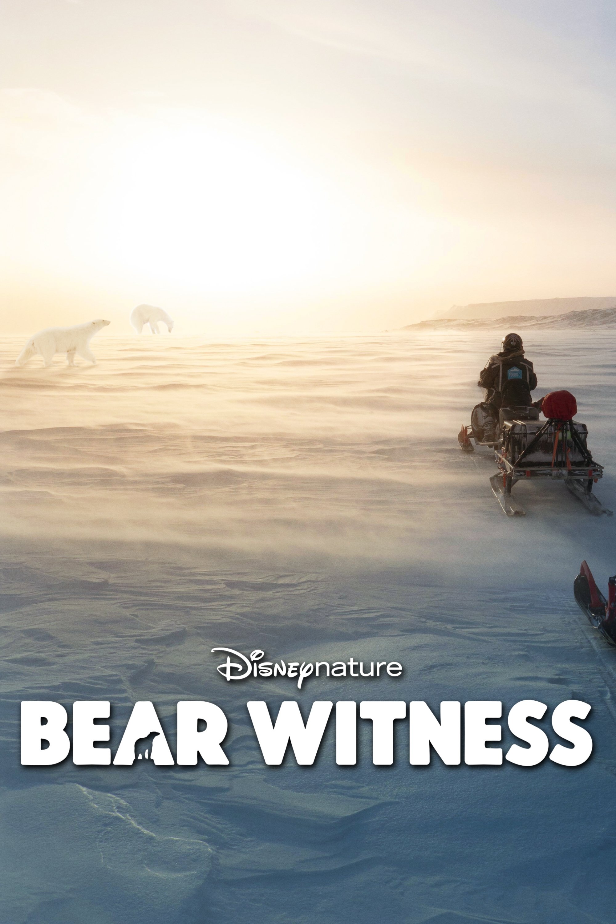 Bear Witness